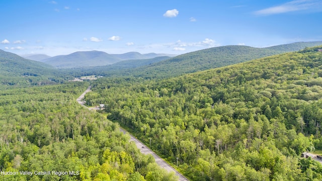 Tbd State Route 28, Boiceville, NY 12412
