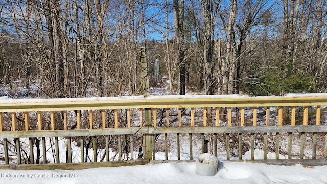 view of yard layered in snow