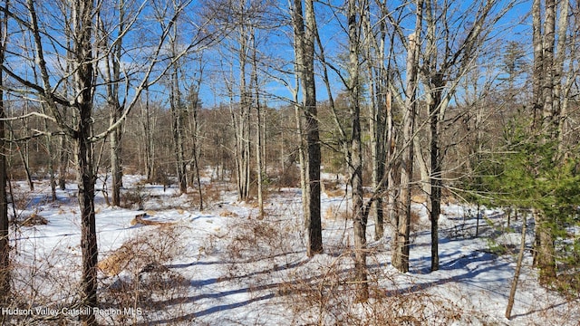 snowy landscape with a wooded view