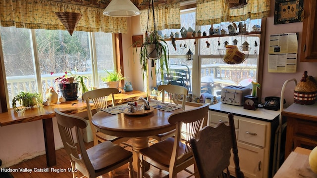 dining area with wood finished floors and a wealth of natural light