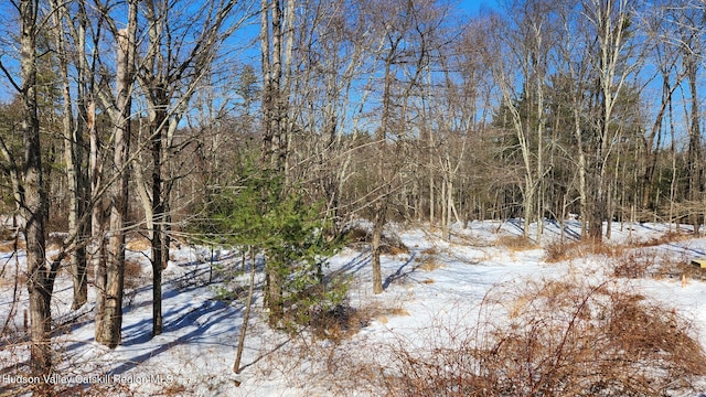 view of snow covered land with a view of trees