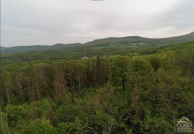 0 Rte 20, Durham, NY 12422 - photo 9