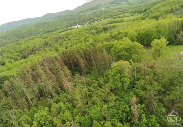 0 Rte 20, Durham, NY 12422 - photo 7