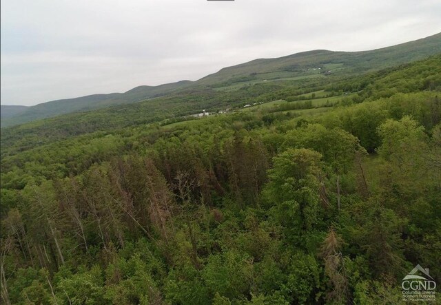 0 Rte 20, Durham, NY 12422 - photo 3