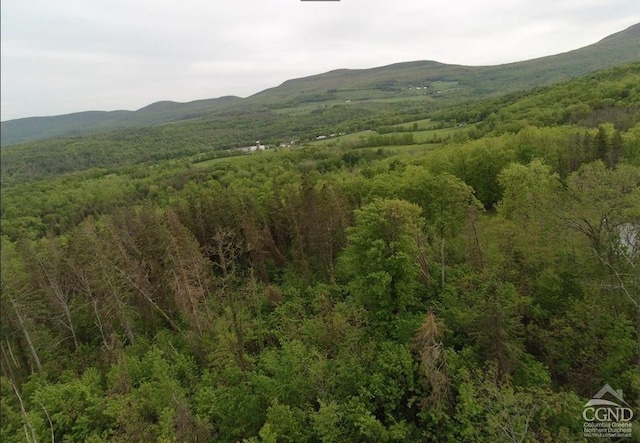 0 Rte 20, Durham, NY 12422 - photo 4