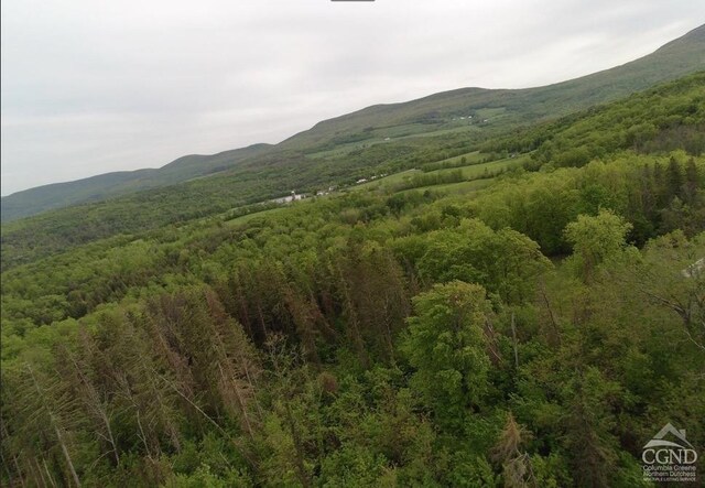 0 Rte 20, Durham, NY 12422 - photo 8