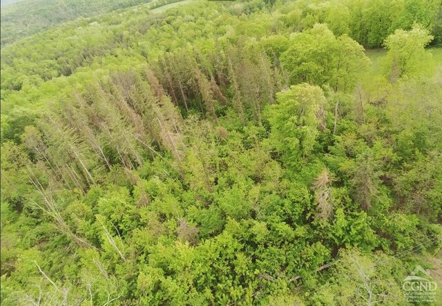 0 Rte 20, Durham, NY 12422 - photo 6