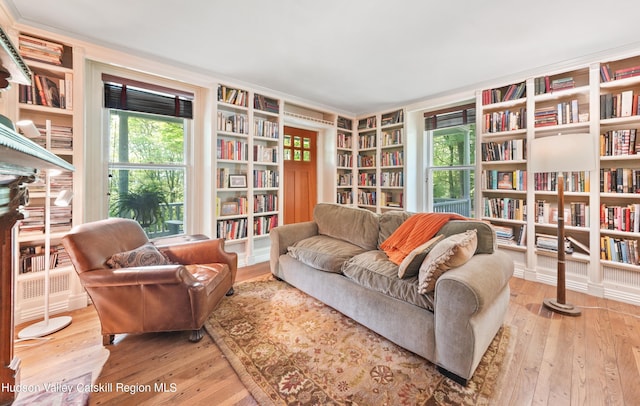 living area with light hardwood / wood-style flooring