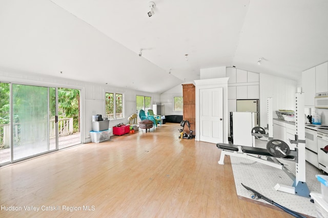 exercise area featuring light hardwood / wood-style flooring and lofted ceiling