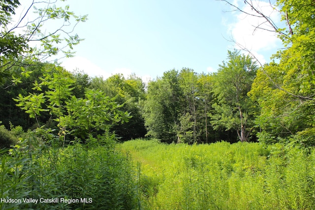 174 High Peak Rd, Windham, NY 12496 - photo 3