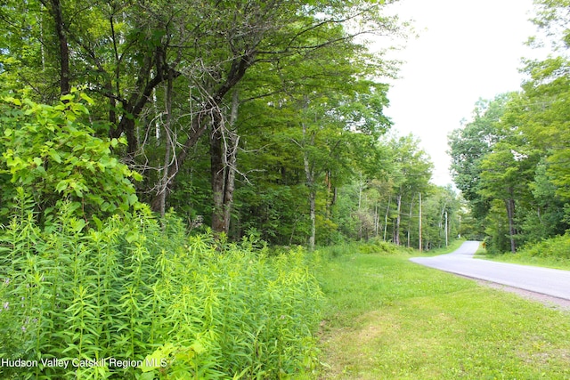 174 High Peak Rd, Windham, NY 12496 - photo 4