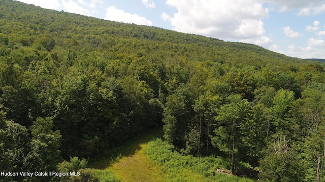 174 High Peak Rd, Windham, NY 12496 - photo 6