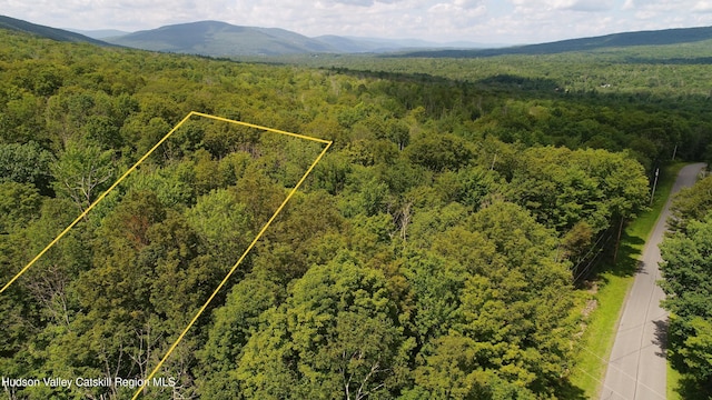 174 High Peak Rd, Windham, NY 12496 - photo 2
