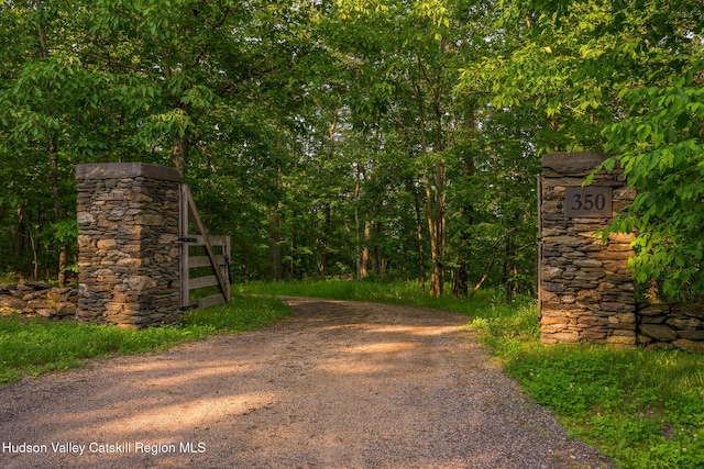 350 Tory Hill Farm Rd, Hillsdale, NY 12529 - photo 2