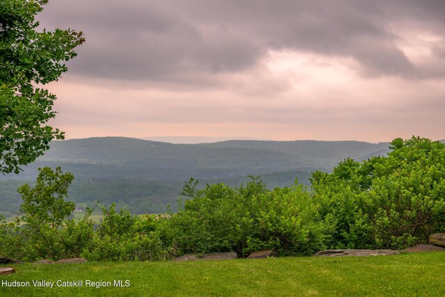 350 Tory Hill Farm Rd, Hillsdale, NY 12529 - photo 73