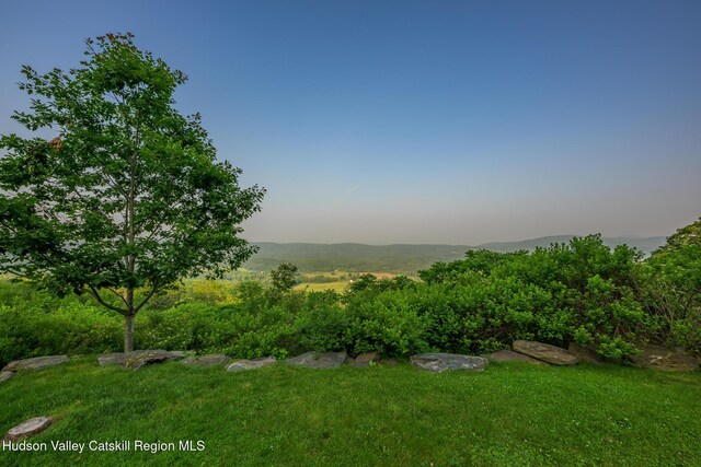 350 Tory Hill Farm Rd, Hillsdale, NY 12529 - photo 71