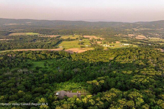 350 Tory Hill Farm Rd, Hillsdale, NY 12529 - photo 76