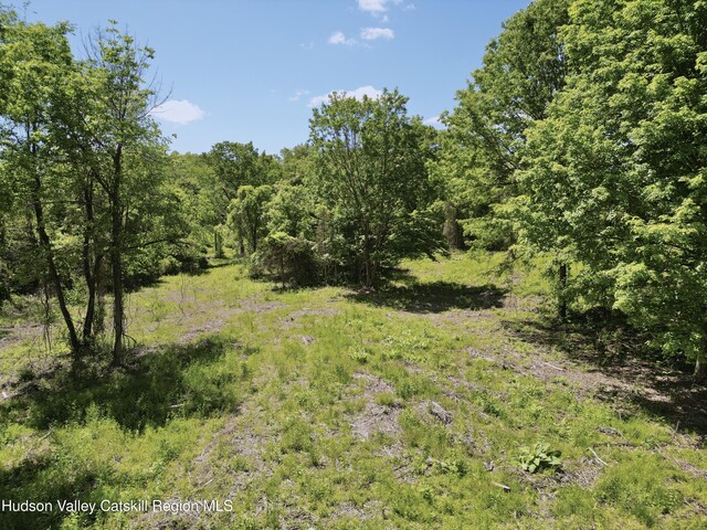 LOT3 County Route 6, Germantown, NY 12526