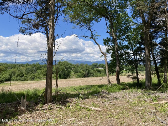 LOT3 County Route 6, Germantown, NY 12526