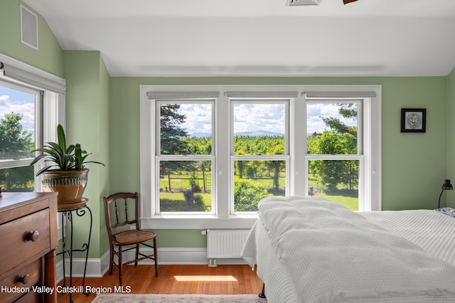 511 County Route 10, Germantown, NY 12526 - bedroom featuring radiator, multiple windows, wood finished floors, and baseboards