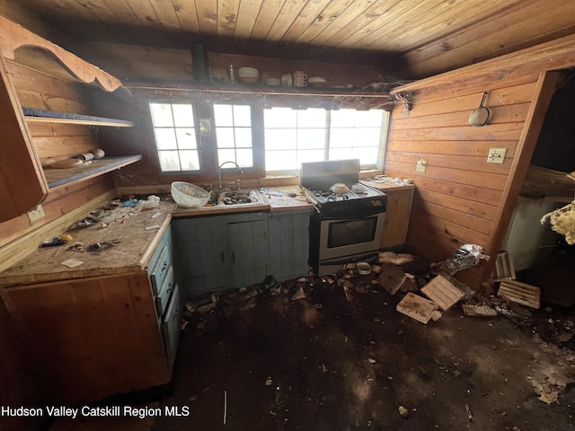 interior space featuring wooden ceiling, sink, and wooden walls