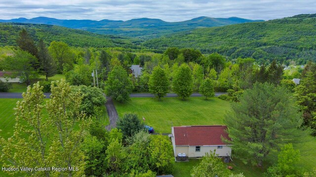 16 Jonesville Rd, Preston Hollow, NY 12469 - photo 29