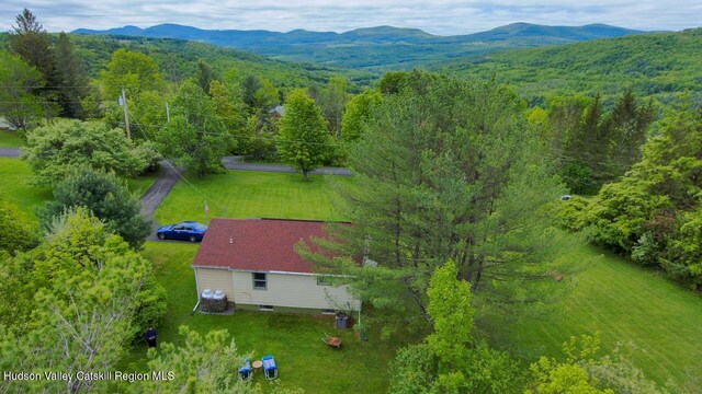 16 Jonesville Rd, Preston Hollow, NY 12469 - photo 26