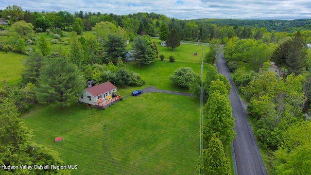 16 Jonesville Rd, Preston Hollow, NY 12469 - photo 3