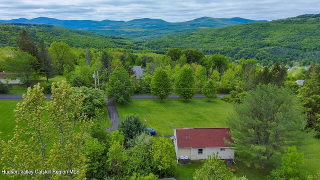 16 Jonesville Rd, Preston Hollow, NY 12469 - photo 2