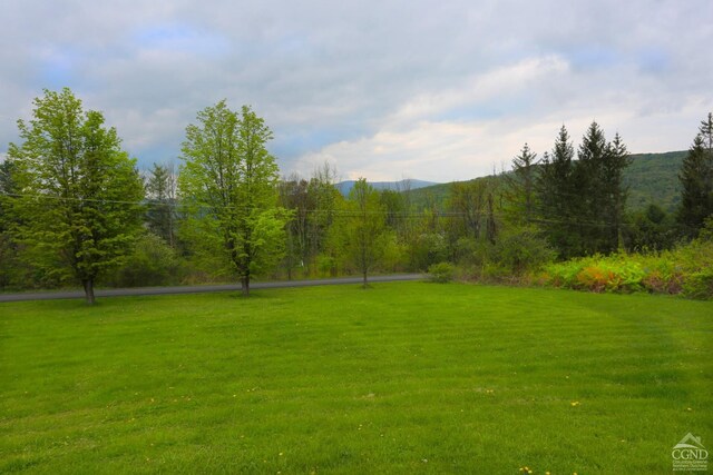 16 Jonesville Rd, Preston Hollow, NY 12469 - photo 17