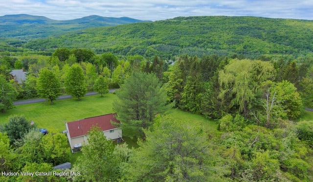 16 Jonesville Rd, Preston Hollow, NY 12469 - photo 25
