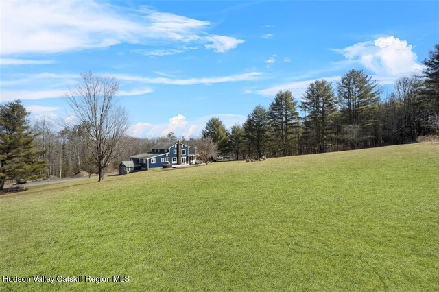 21 Schroon Hill Rd, Kerhonkson, NY 12446 - view of yard