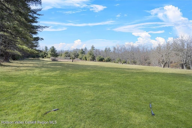 21 Schroon Hill Rd, Kerhonkson, NY 12446 - view of home's community with a yard