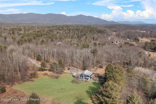 21 Schroon Hill Rd, Kerhonkson, NY 12446 - drone / aerial view featuring a forest view and a mountain view