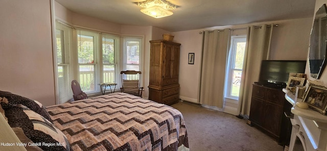 bedroom featuring carpet flooring