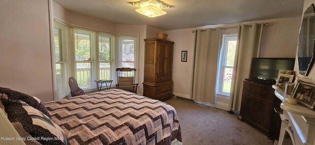 bedroom featuring carpet flooring