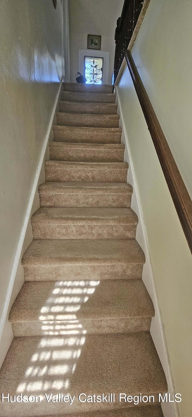 staircase featuring carpet floors