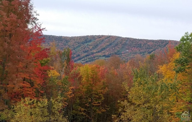 4 French Park Dr Unit 2A, Windham, NY 12496 - mountain view featuring a heavily wooded area