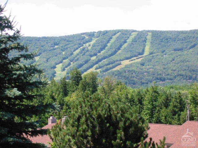 4 French Park Dr Unit 2A, Windham, NY 12496 - view of mountain background with a heavily wooded area