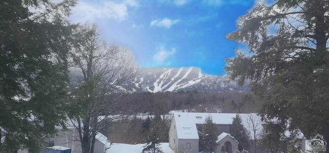 4 French Park Dr Unit 2A, Windham, NY 12496 - snowy aerial view with a mountain view