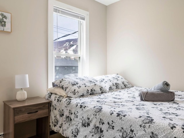 7614 Main St, Hunter, NY 12444 - view of bedroom