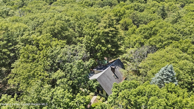 40 Northwoods Rd Rd, Saugerties, NY 12477 - photo 28