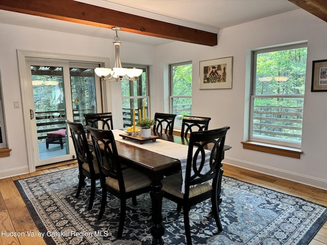 40 Northwoods Rd Rd, Saugerties, NY 12477 - photo 6