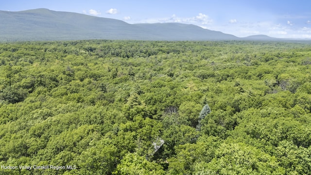 40 Northwoods Rd Rd, Saugerties, NY 12477 - photo 30