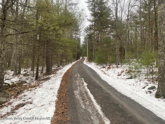 Listing photo 2 for TBD Peak Rd, Stone Ridge NY 12484