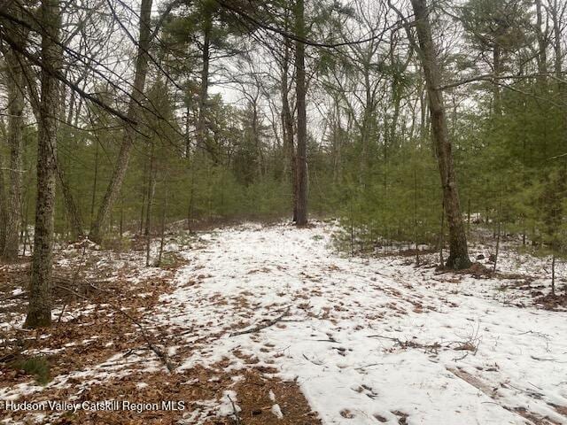 Listing photo 3 for TBD Peak Rd, Stone Ridge NY 12484