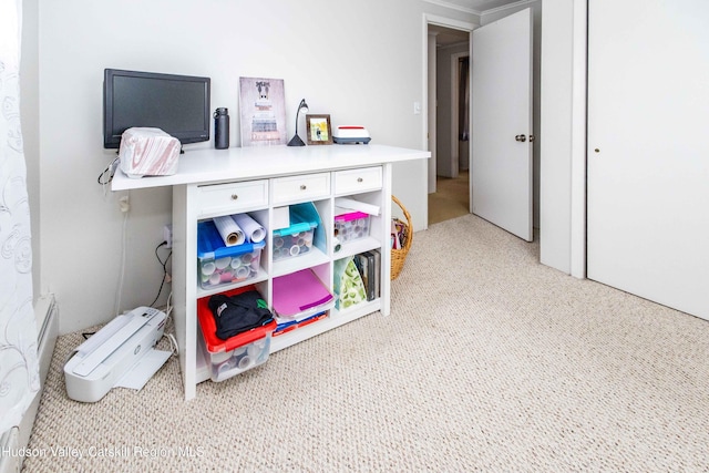 playroom featuring carpet floors