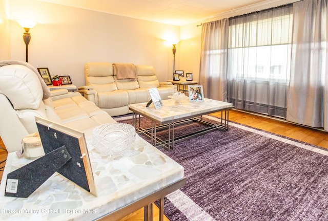 living area featuring wood finished floors
