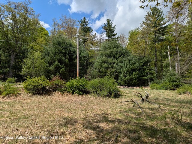 6 Birch Knoll Ln, Olivebridge, NY 12461 - photo 2