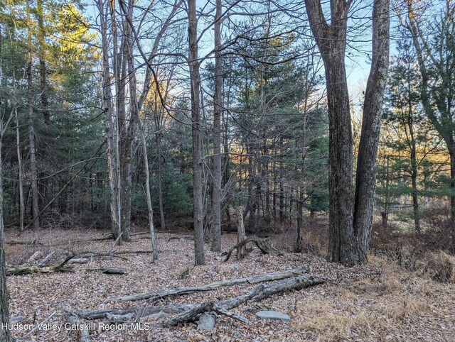 6 Birch Knoll Ln, Olivebridge, NY 12461 - photo 11